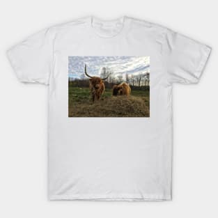 Scottish Highland Cattle Cow and Calf 1574 T-Shirt